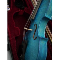 Instruments à cordes Aileen Violon 4-4 Taille pour Débutant